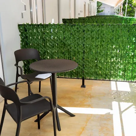 Solis Giselle Avlonya